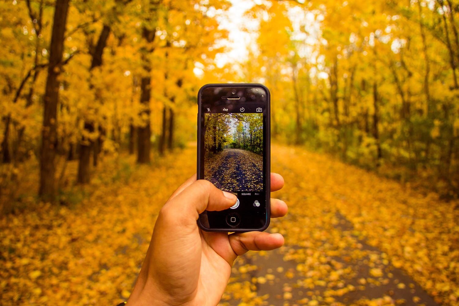 7 Smartphone Photography Tips for Shooting in the Fall